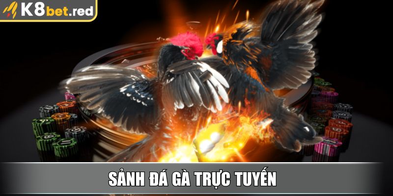 K8bet Xtppgm 🎖️【K8 bet】| Link Vào Nhà Cái K8bet Mới Nhất 25 Sảnh Đá Gà trực tuyến