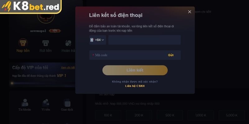Nạp Tiền K8bet - Hướng Dẫn Chi Tiết, An Toàn Cho Thành Viên 3 Lỗi nhập sai thông tin